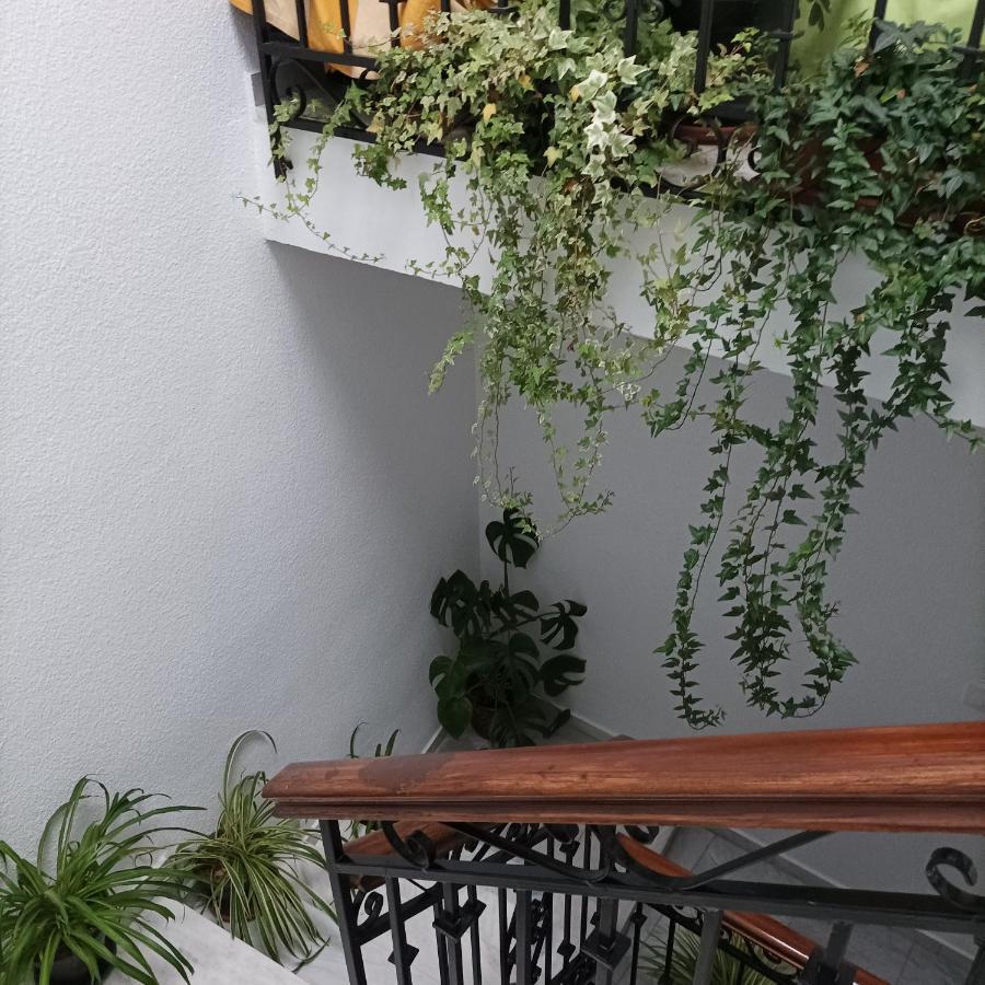 Medina Baguh Apartment Priego de Córdoba Екстериор снимка