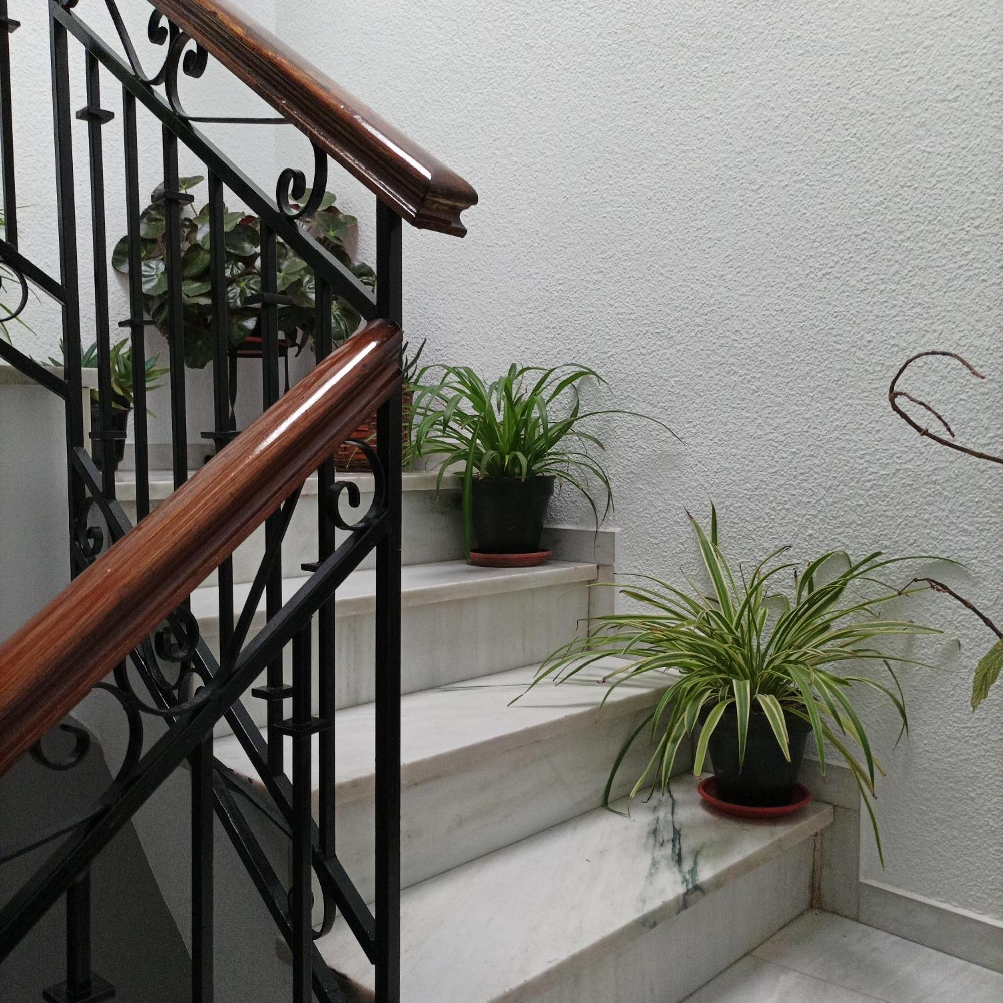 Medina Baguh Apartment Priego de Córdoba Стая снимка